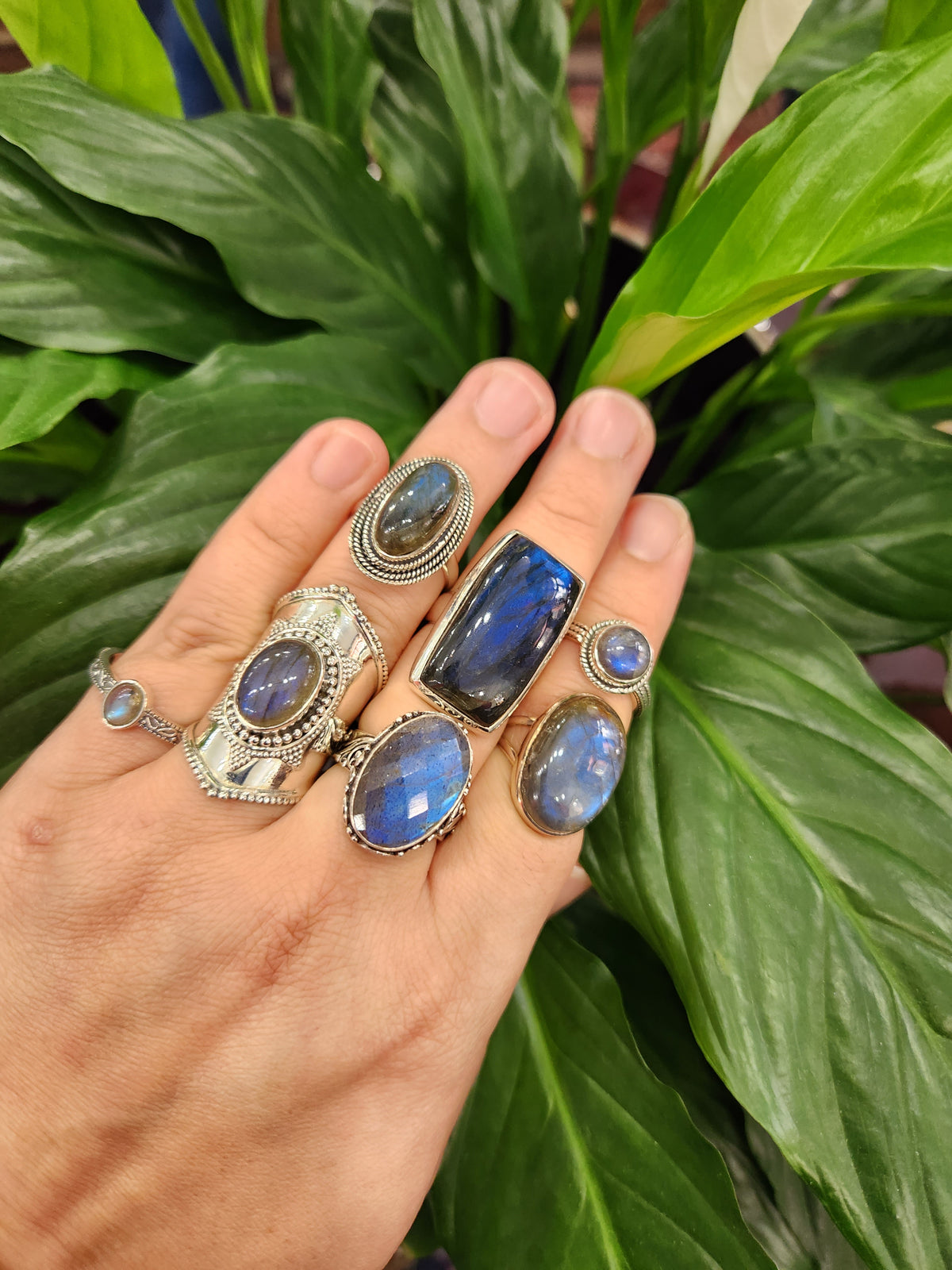 Labradorite Ring Selection
