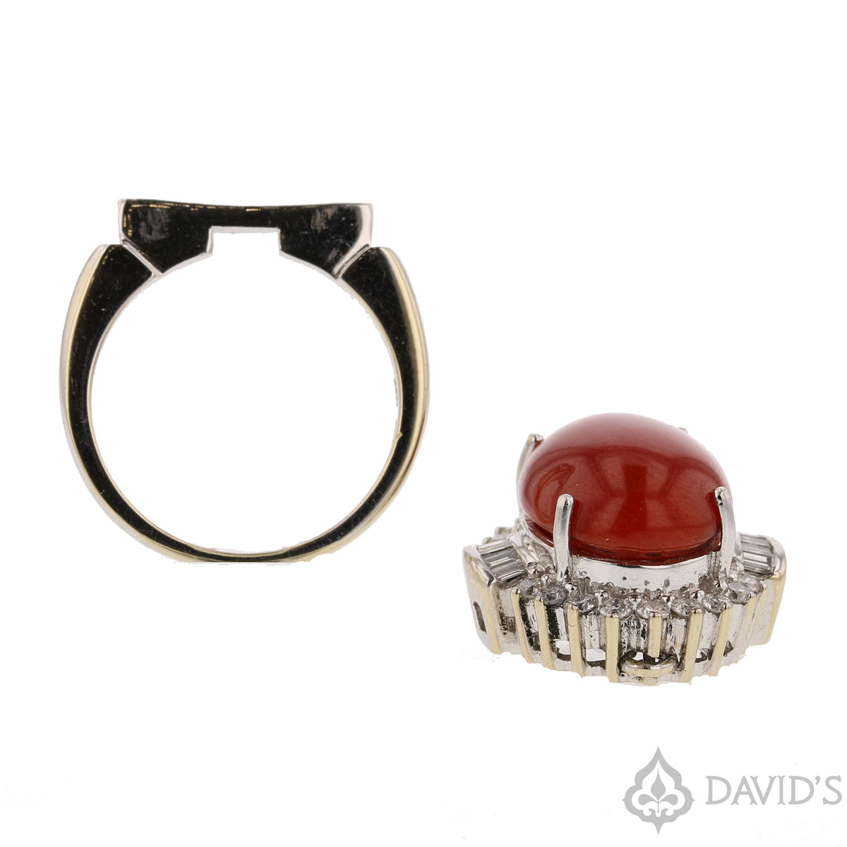 The shank and pendant side by side