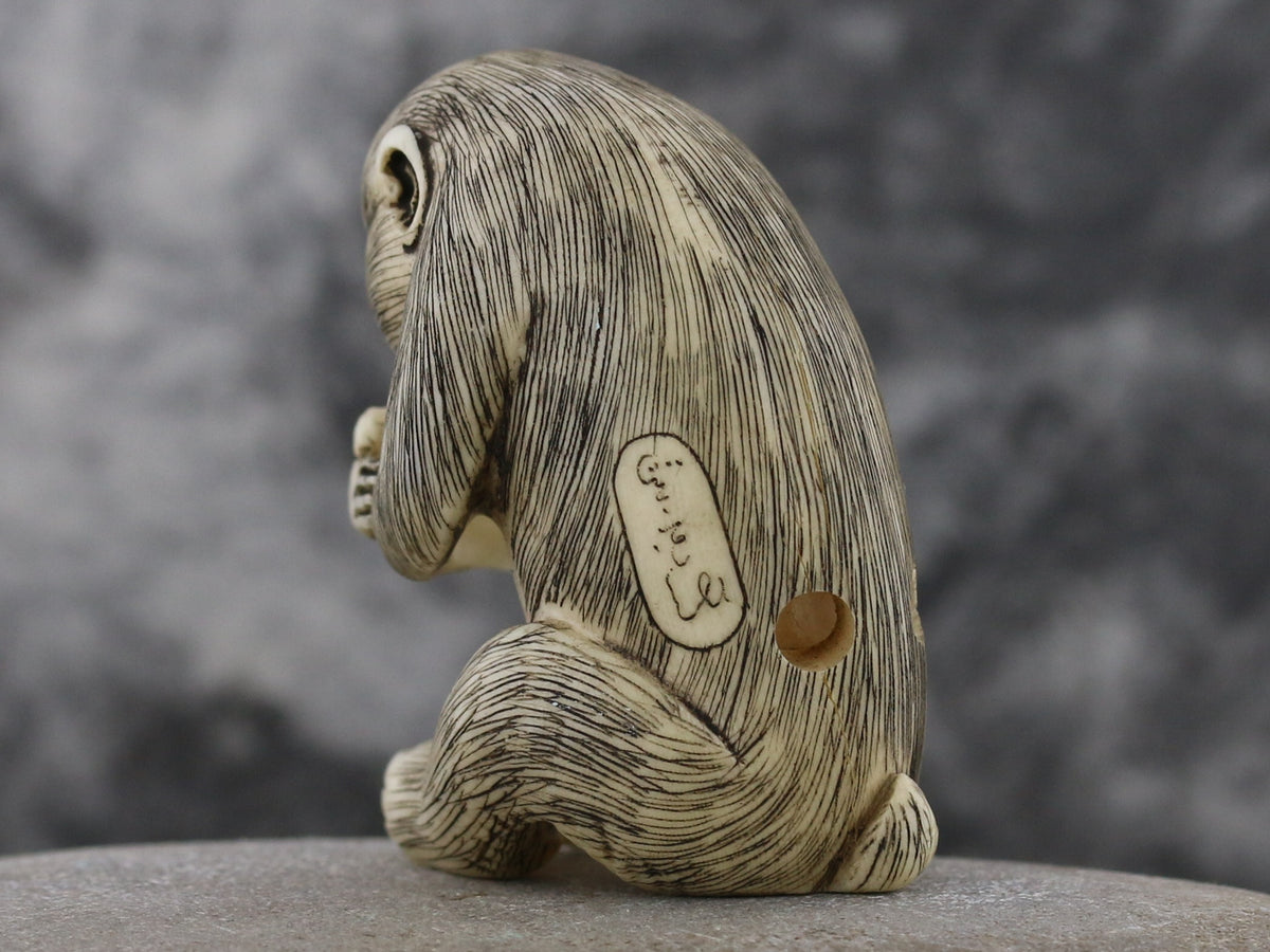 Seated Curious Monkey Ivory Netsuke – Antique