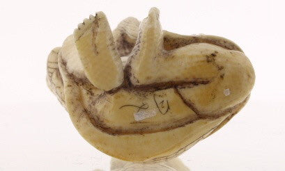 Toad & Owner Ivory Netsuke