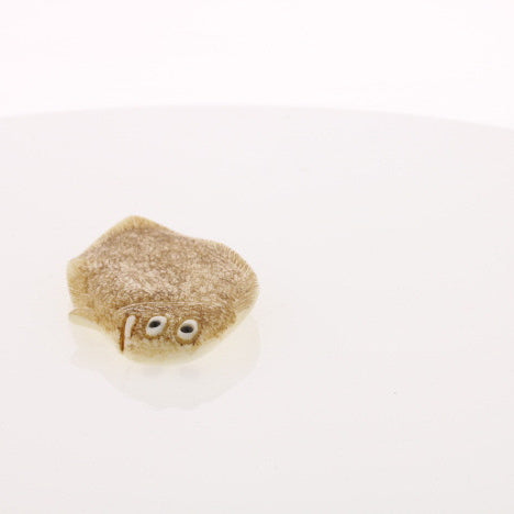 Ivory Netsuke of Enigmatic Flat Animal - Artist Signed - David's Antiques & Jewelry