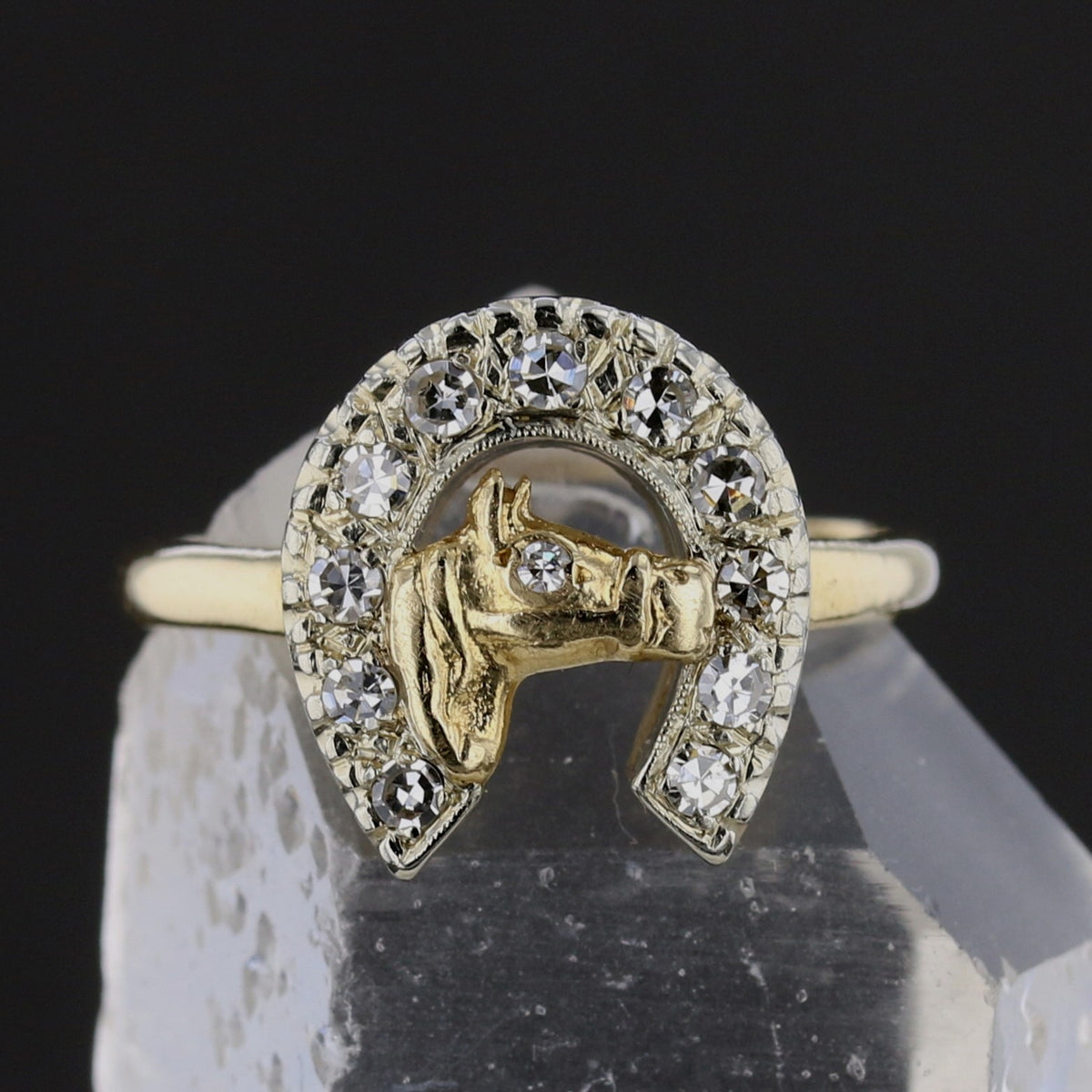Horse Shoe Diamond Ring   892716