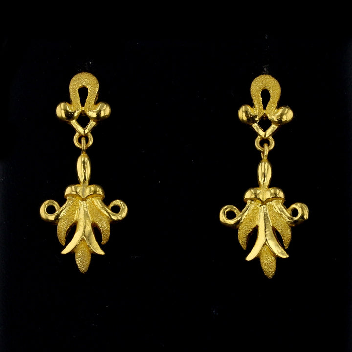 Dangly Earrings   892968