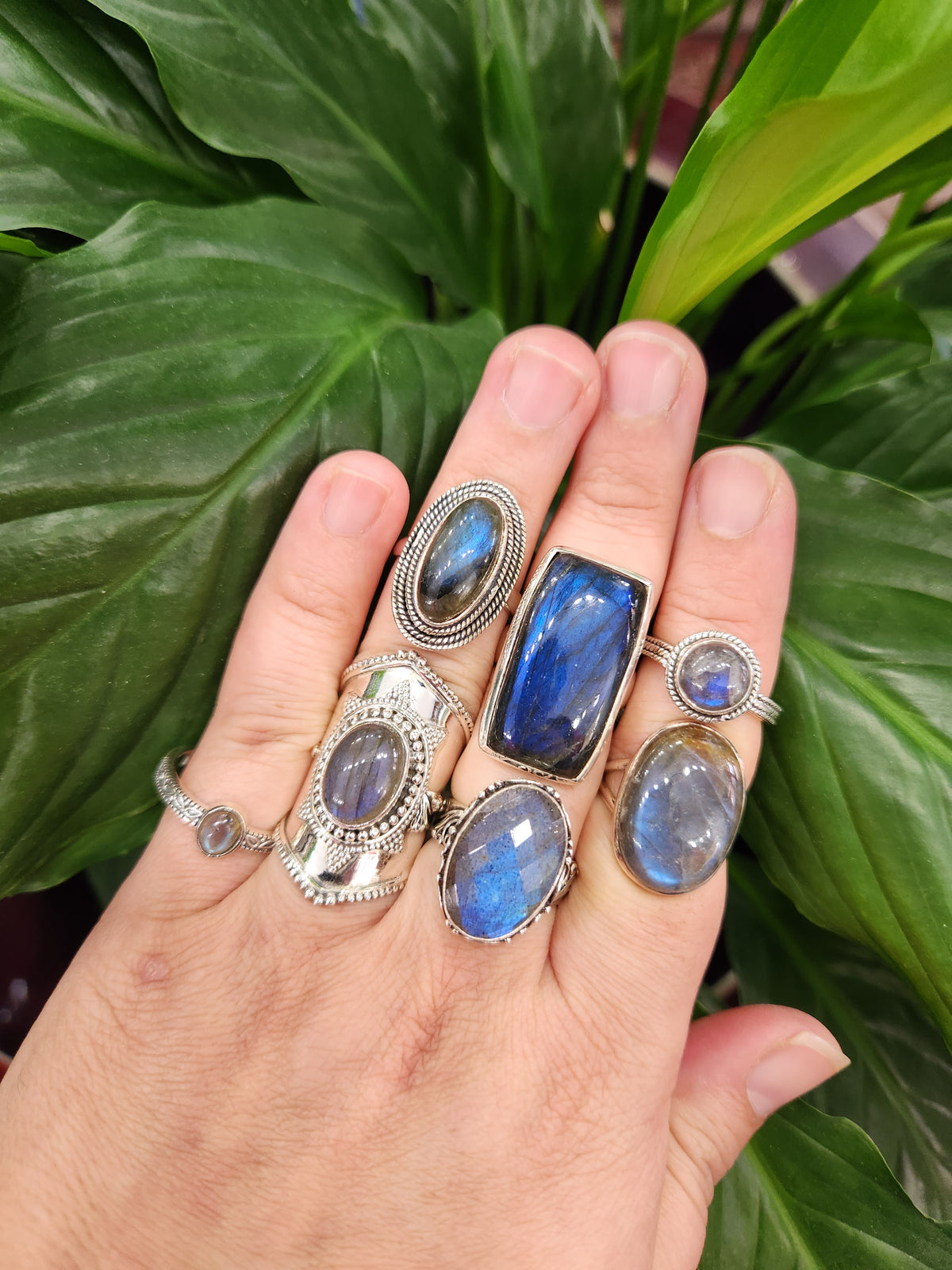Labradorite Ring Selection