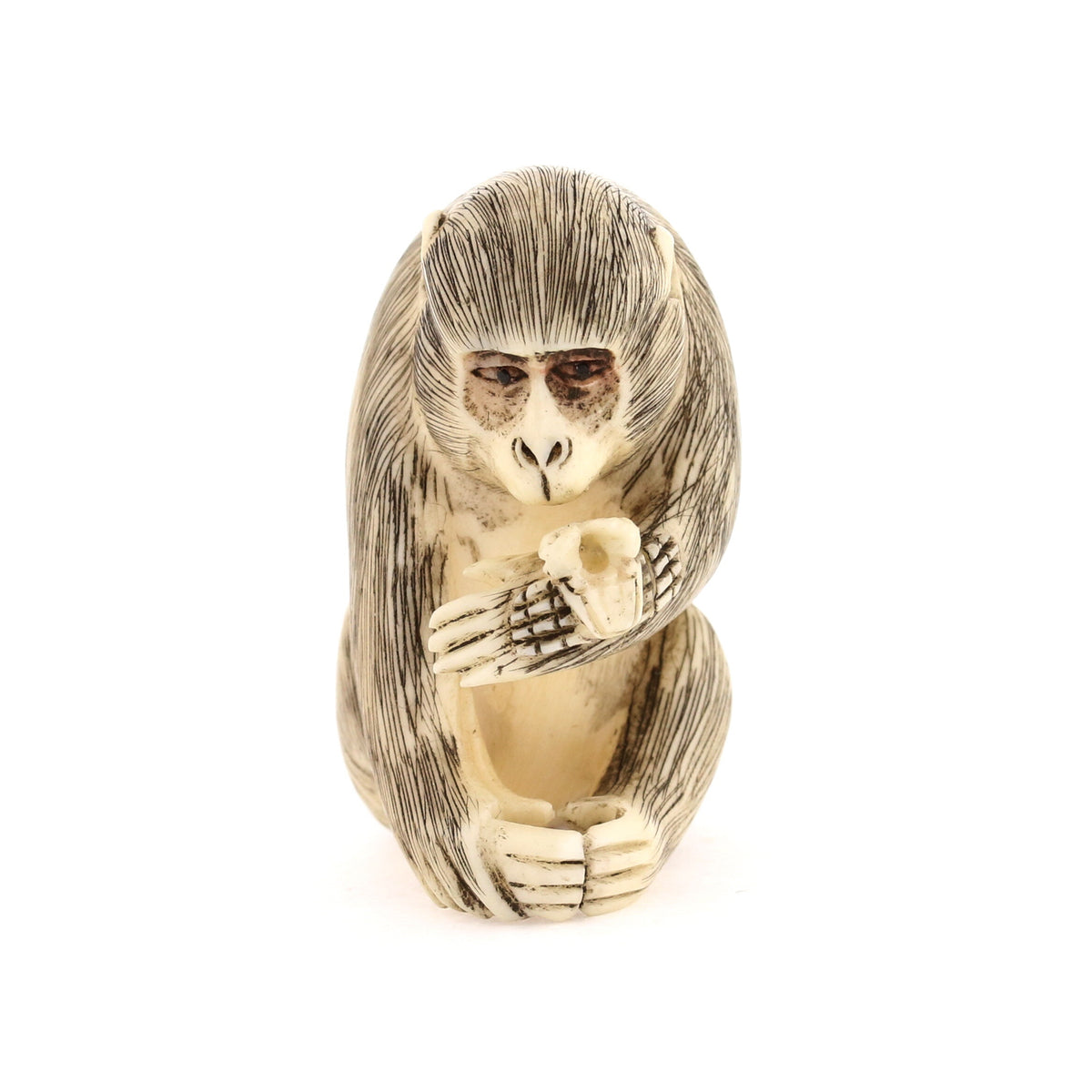 Seated Curious Monkey Ivory Netsuke – Antique