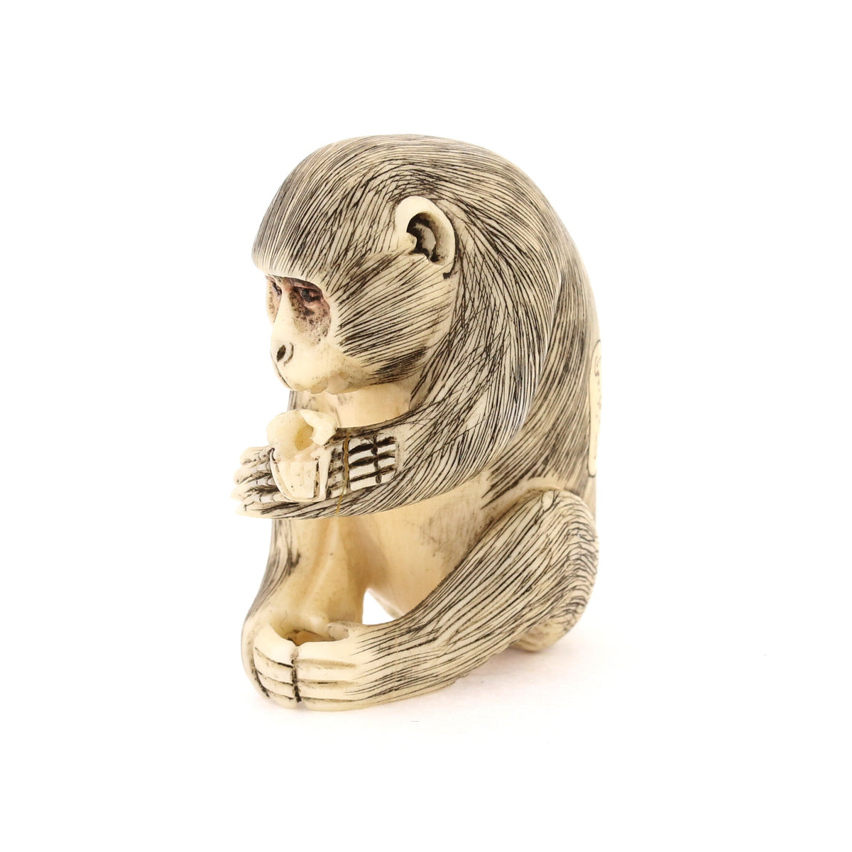 Seated Curious Monkey Ivory Netsuke – Antique