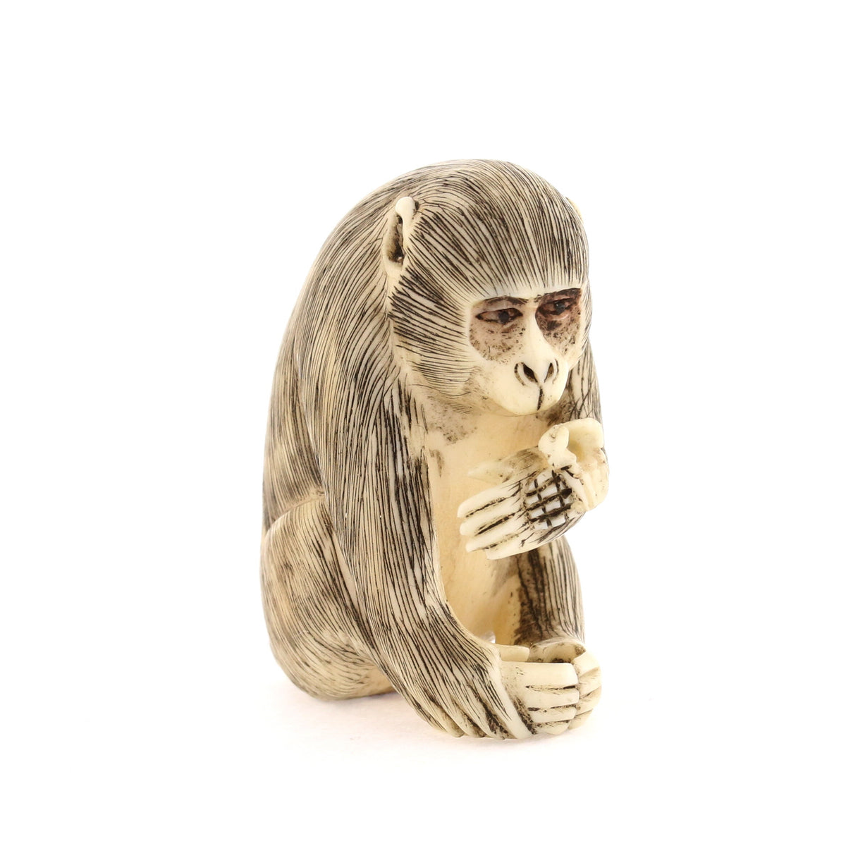Seated Curious Monkey Ivory Netsuke – Antique