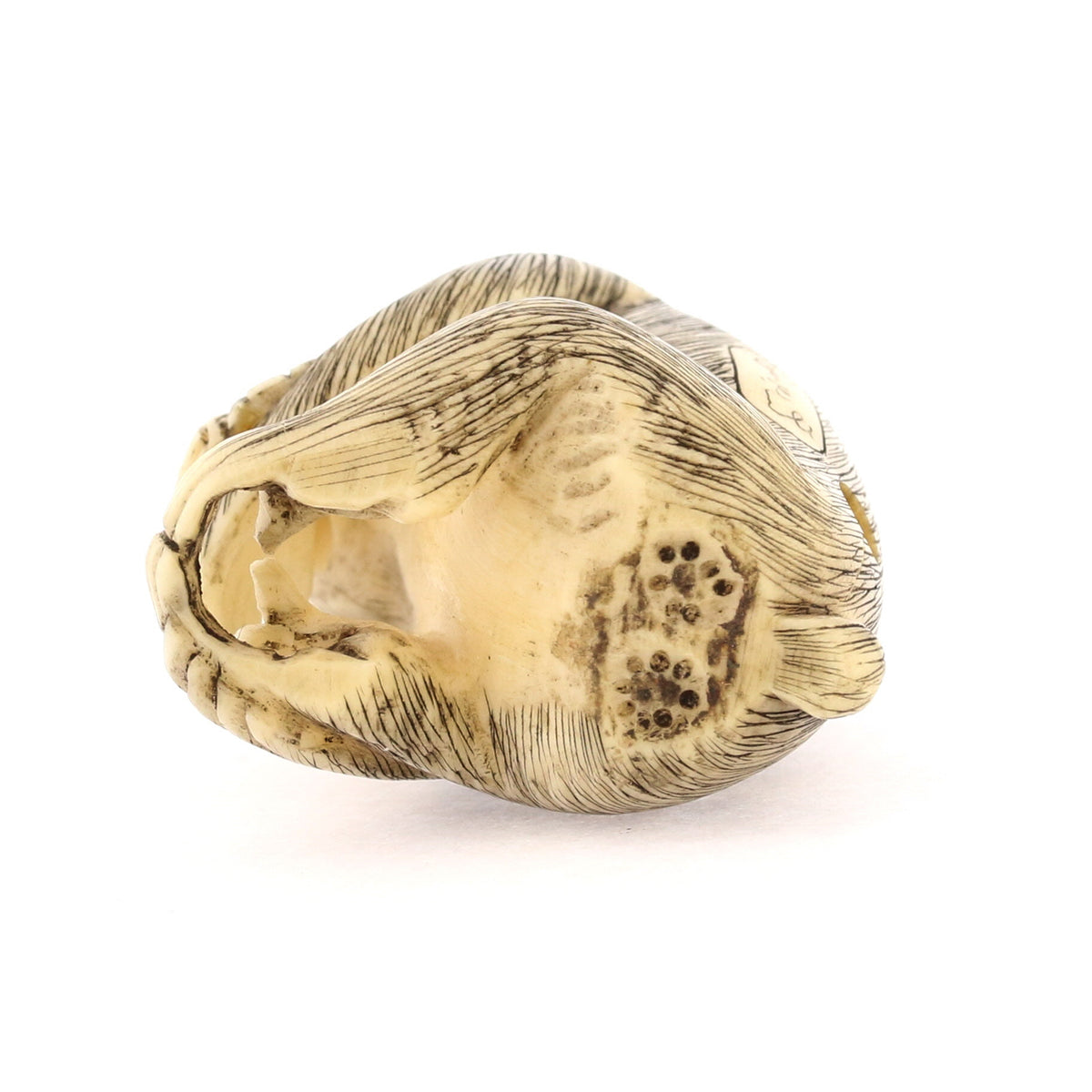 Seated Curious Monkey Ivory Netsuke – Antique