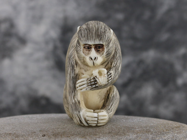 Seated Curious Monkey Ivory Netsuke – Antique