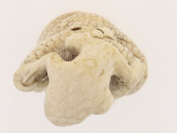 Toad & Owner Ivory Netsuke