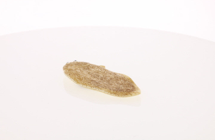 Ivory Netsuke of Enigmatic Flat Animal - Artist Signed - David's Antiques & Jewelry